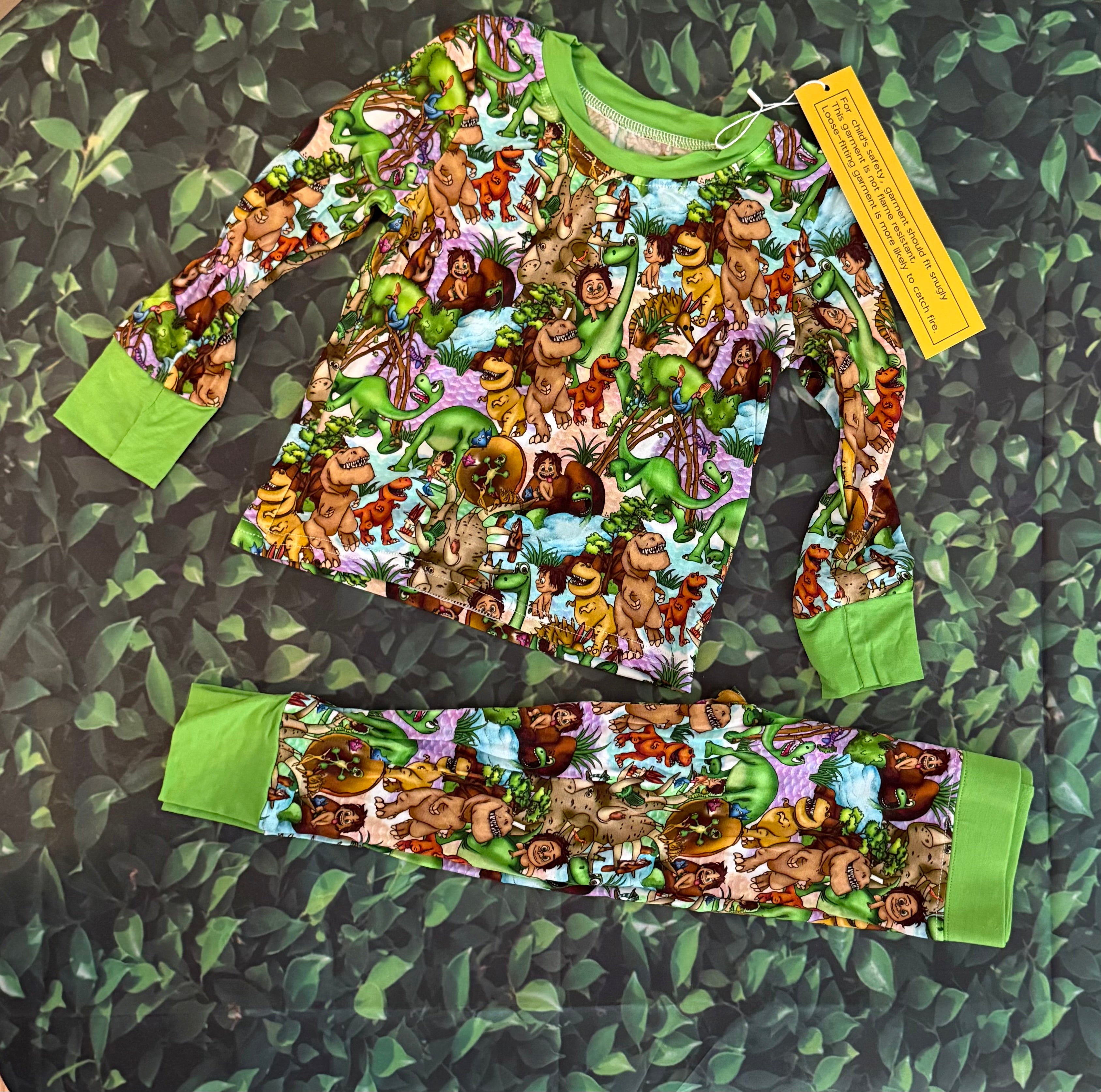 Good Dinosaur Two Piece Set
